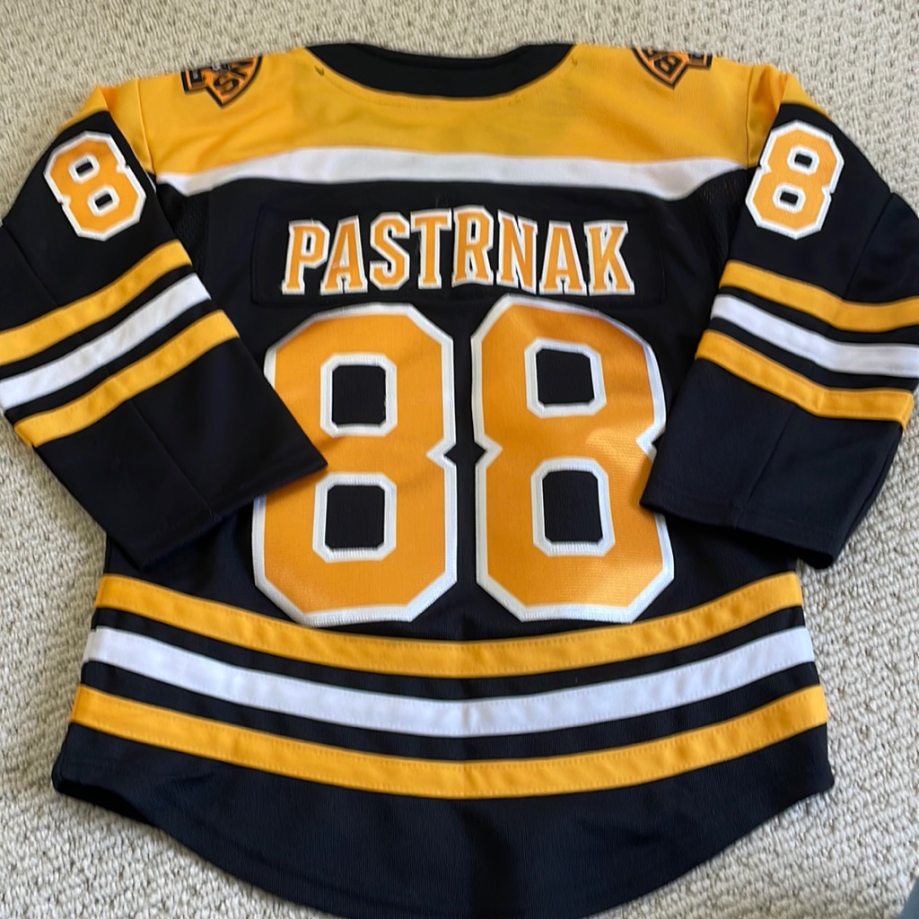 Nhl Certified Pastrk Hockey Jersey